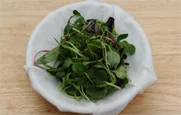 백김치주꾸미샐러드 3단계
