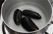 숙주라면 2단계