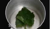 봄옷을 입은 닭 4단계