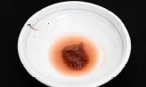 소안심 야채 호박잎쌈 5단계