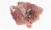 닭순대 2단계