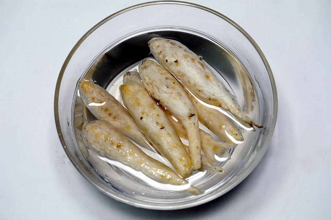 섭산삼 1단계